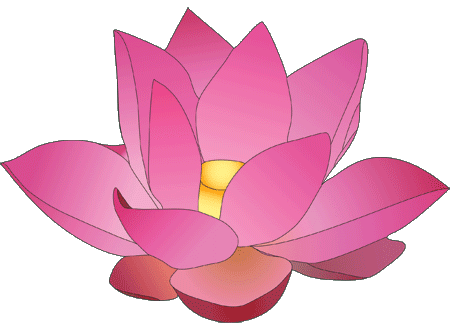 Animated Lotus